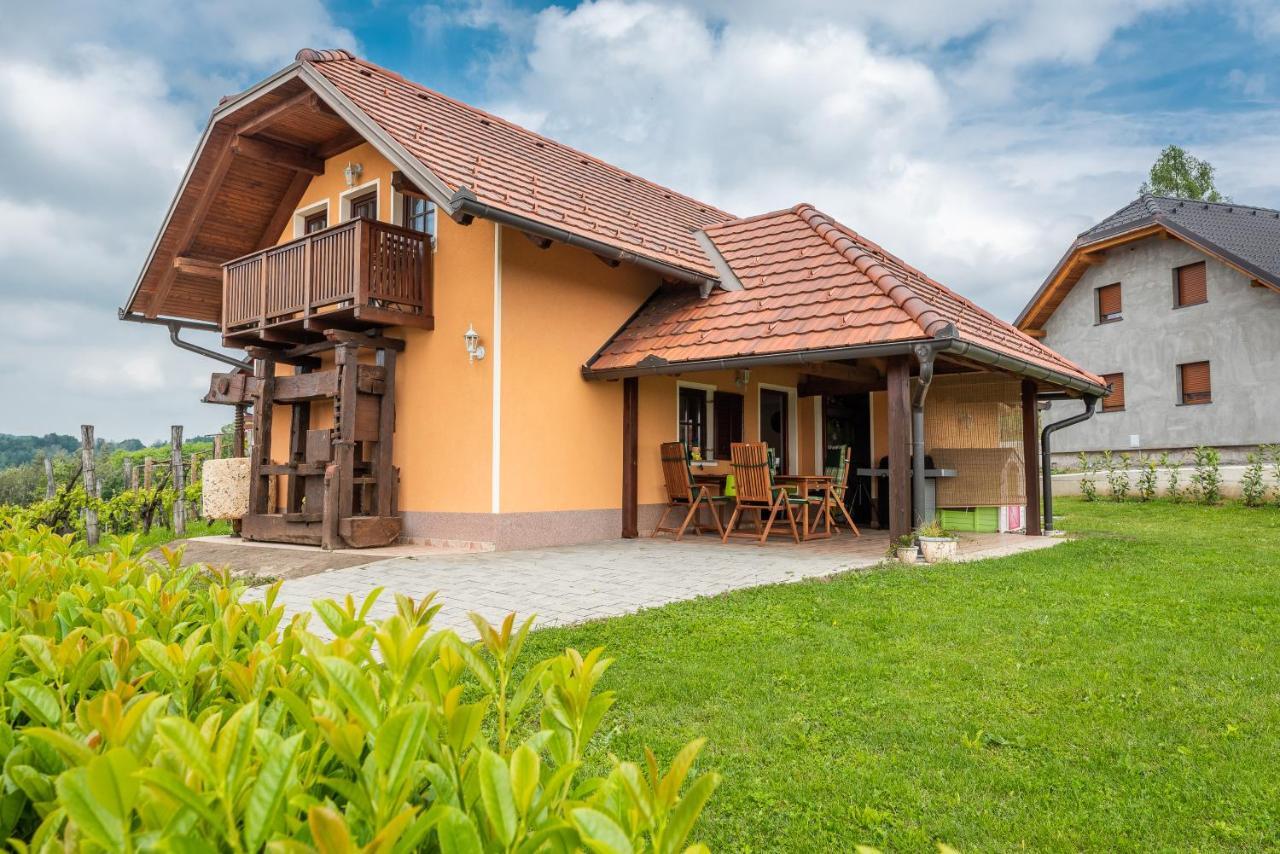 Wineyard Getaway House Villa Sevnica Ngoại thất bức ảnh